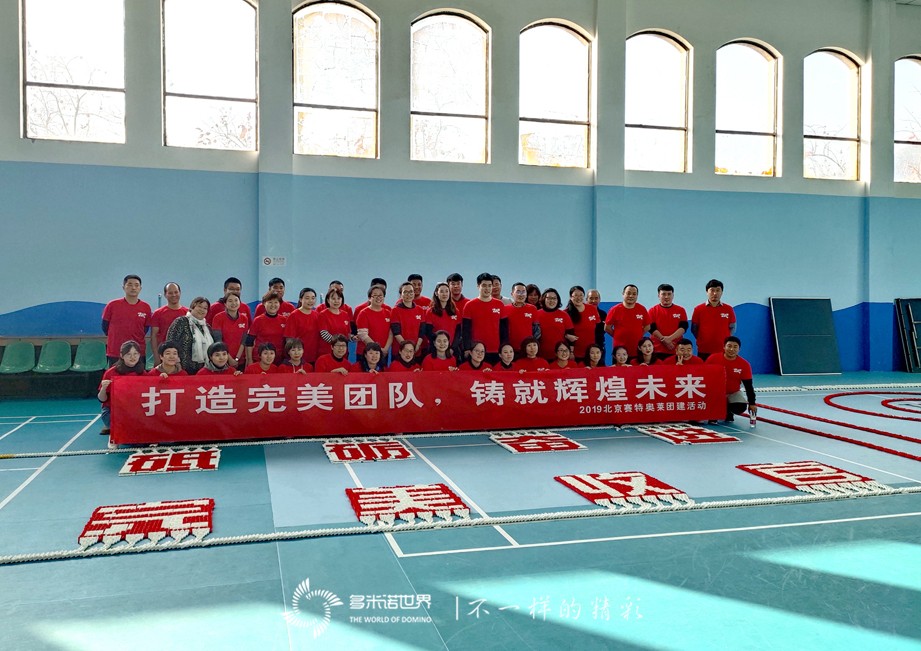 赛特奥莱团队砥砺奋进，多米诺大挑战完美收官