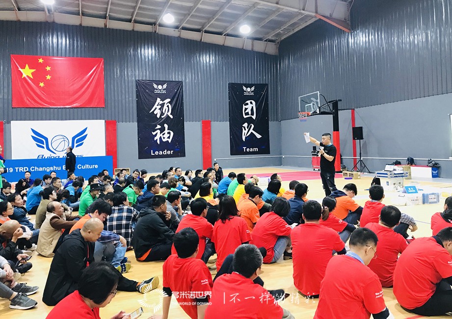 诺华蓝色文化之旅，在多米诺世界扬帆启航