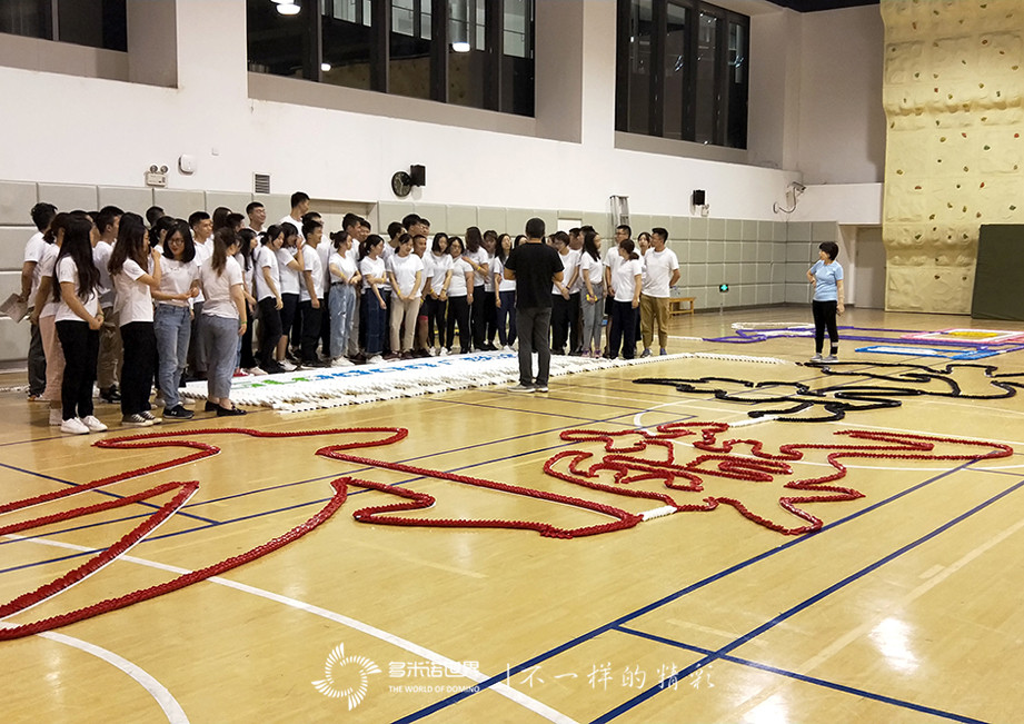 2019广联达新人训“夜战多米诺