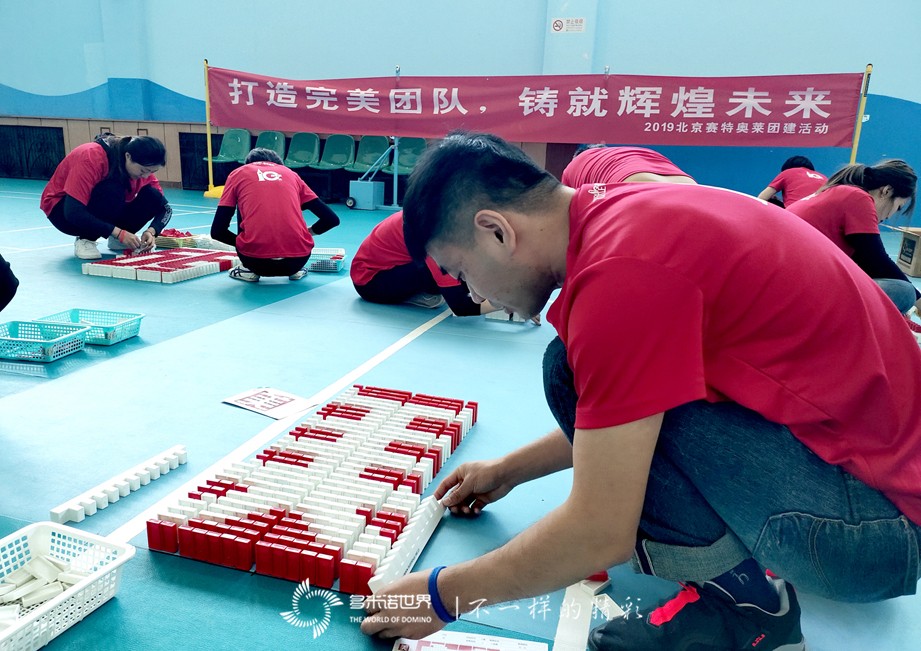 赛特奥莱团队砥砺奋进，多米诺大挑战完美收官