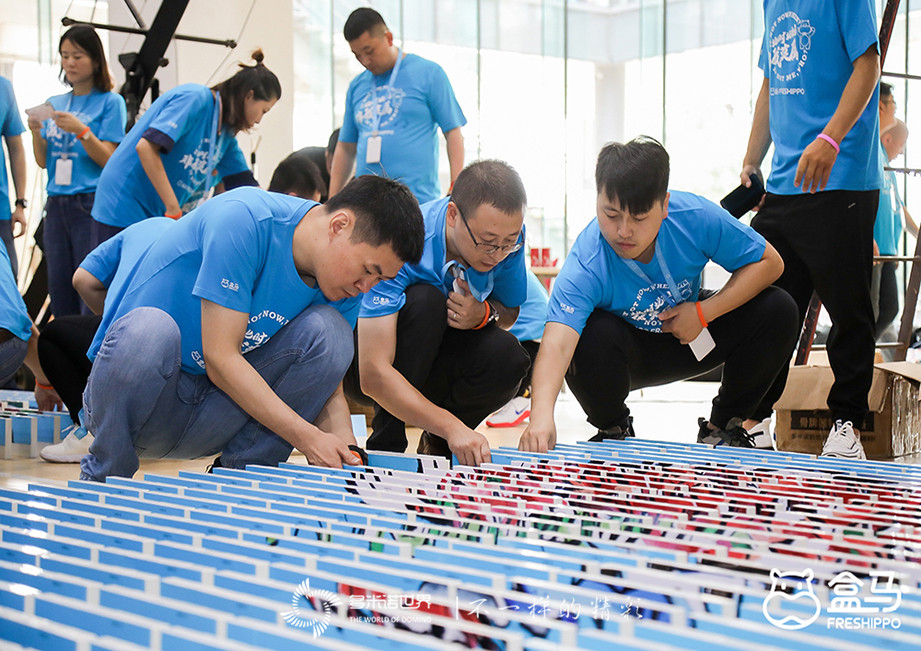 此时此刻、非我莫属-多米诺出彩盒马店长大会