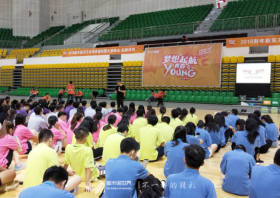 梦想启航，青春飞young—新东方在线校园大使多米诺团队大挑战